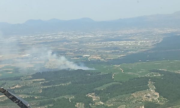 İzmir'de orman yangını